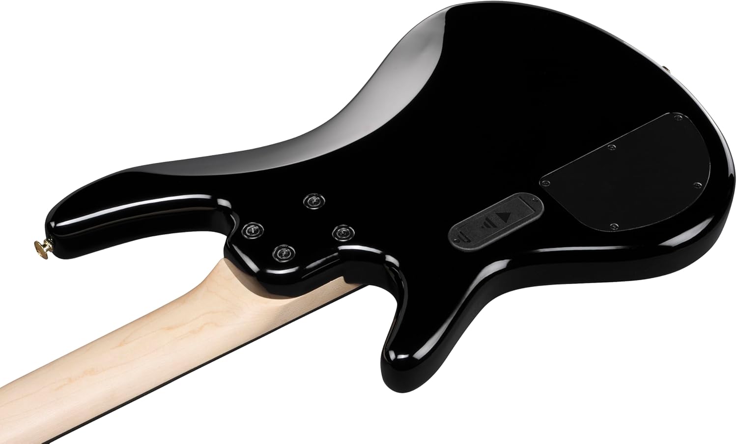 Ibanez GSR205PC GIO 5-String Bass Guitar, Purpleheart Fingerboard, Transparent Pale Black Burst