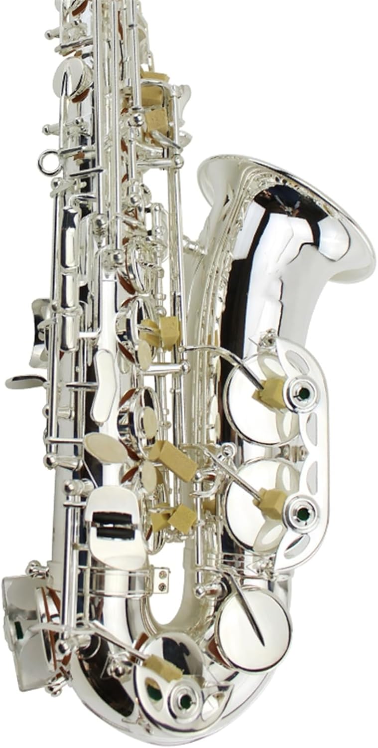 Silver-plated E-flat Alto Saxophone Wind Instrument For Beginners And Entry-level Professional Performance