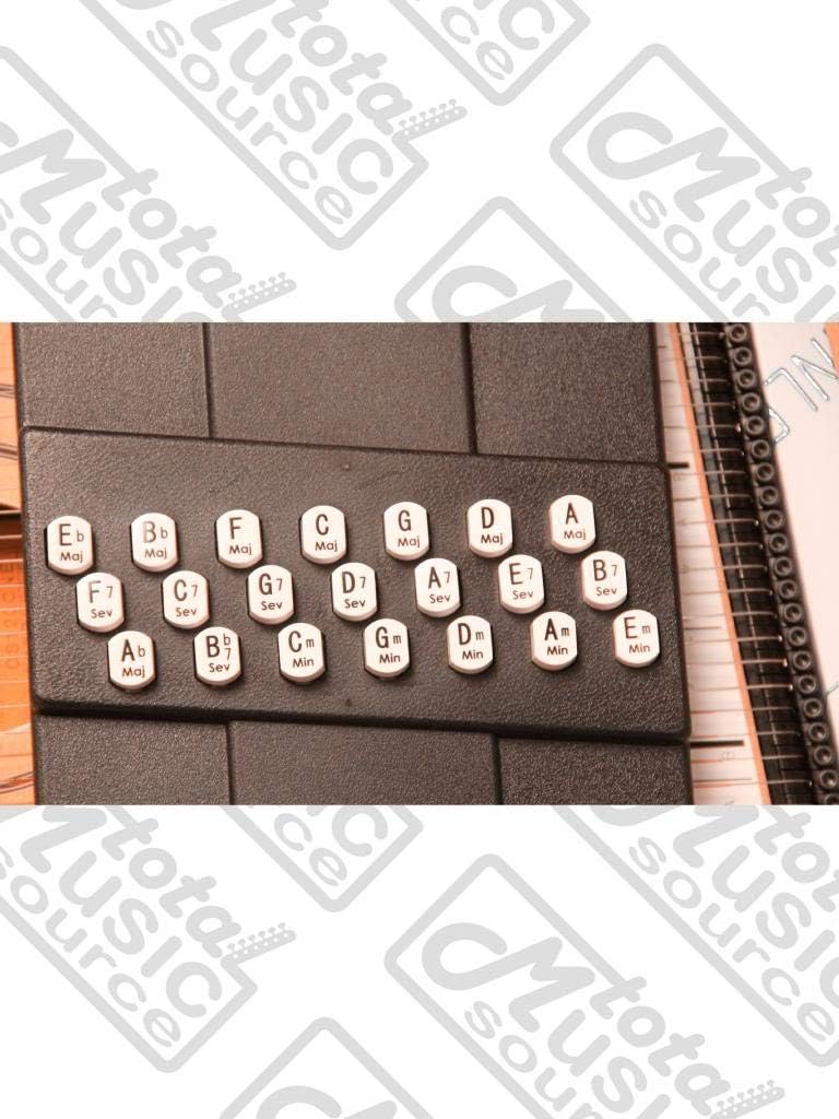 Oscar Schmidt, 36-String Autoharp, Right, Pearl (OS120CNE)