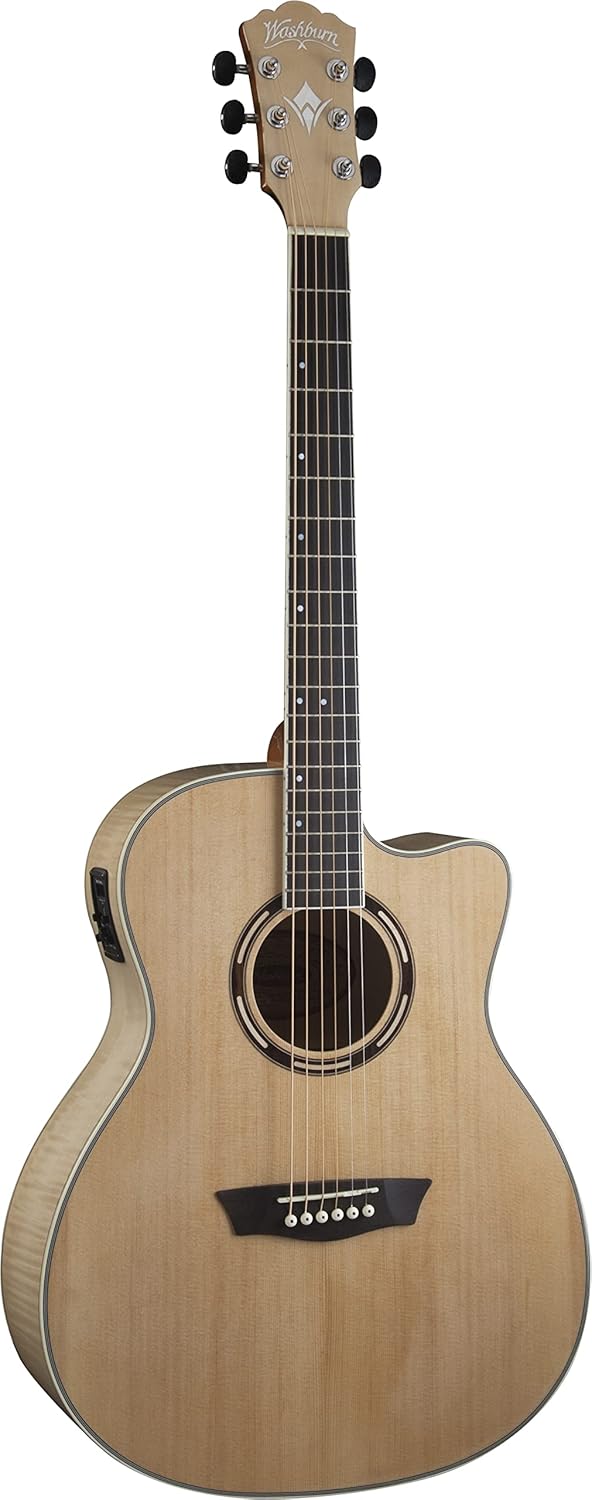 Washburn Apprentice AG40CE with Case, Acoustic Electric Guitar