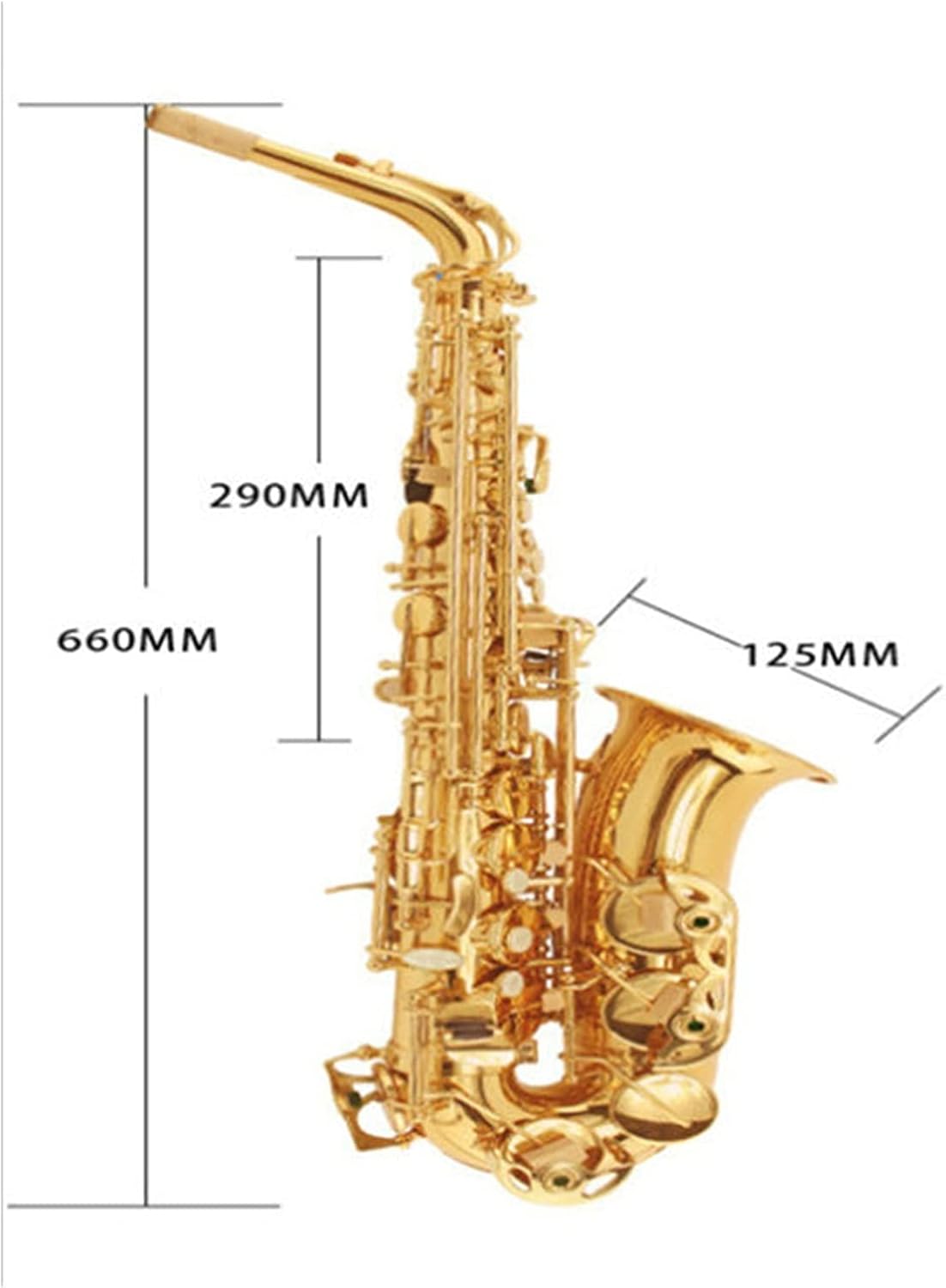 Saxophone Straight Beginner E Flat Alto Saxophone/Wind Instrument