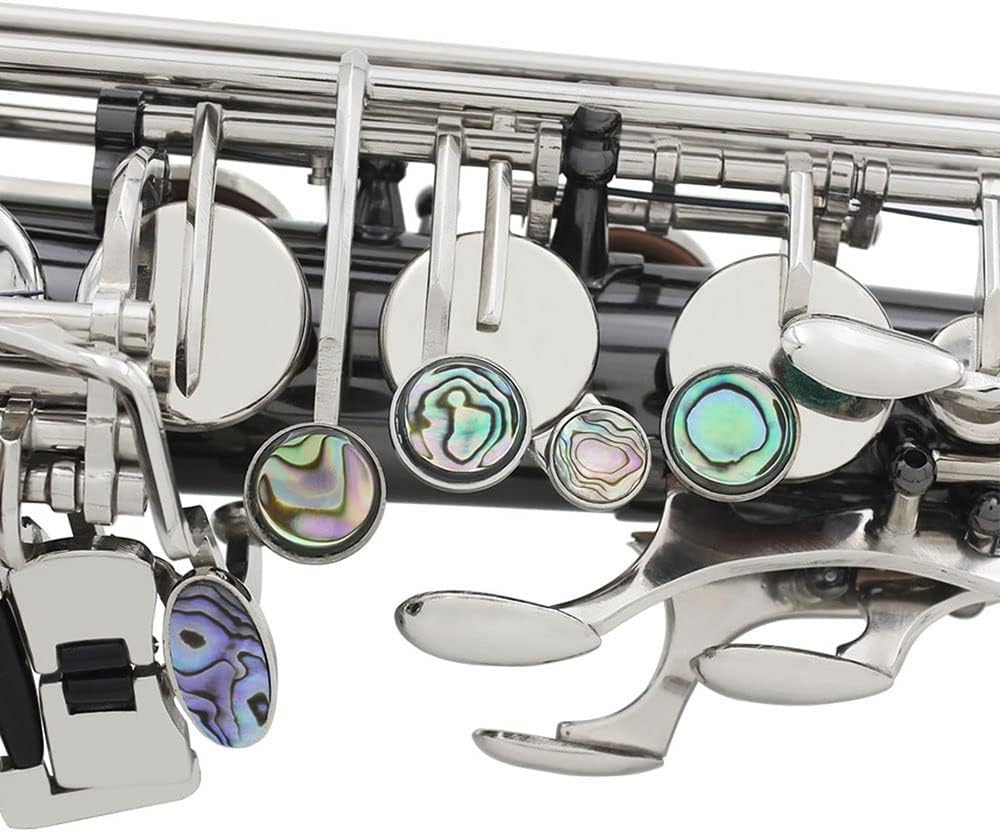 TSTS EB Alto Saxophone Woodwind Instrument Black Nickel with Case Brass Sax Full Kit (Color : 1)