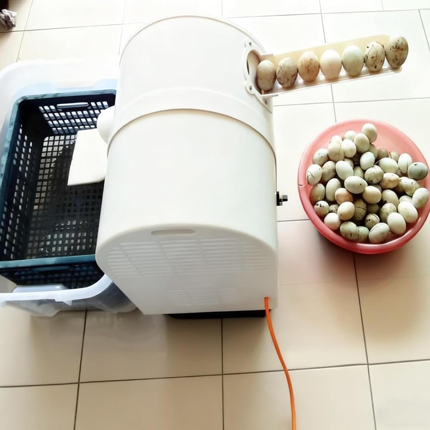 180W Electric Egg Washer Machine 2000Pcs/H, Automatic Egg Cleaning Tool for Fresh/Mud Eggs, Perfect for Farms Restaurants Bulk Cleaning