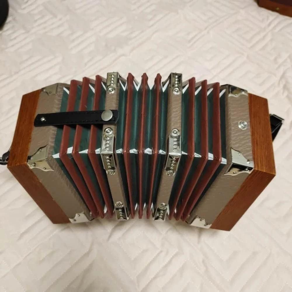 Piano Accordion 20 Key, Professional 20 Buttons Accordion Concertina Musical Instrument, Gift for Children and Friends