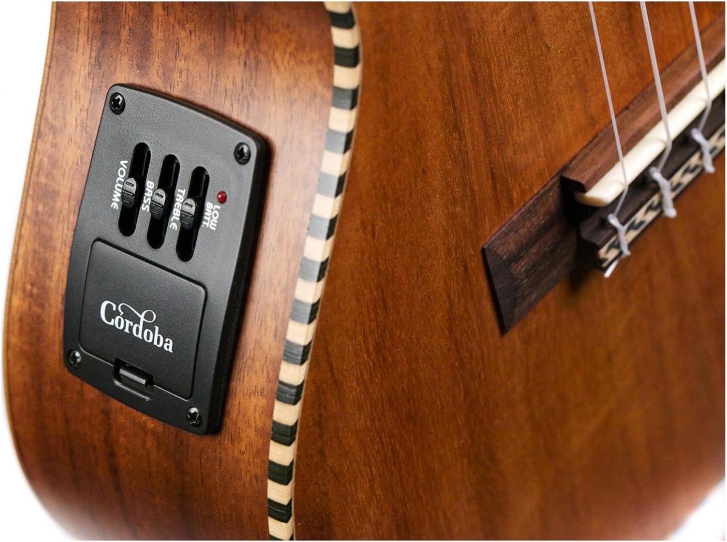 Cordoba 25T Tenor Cutaway Ukulele