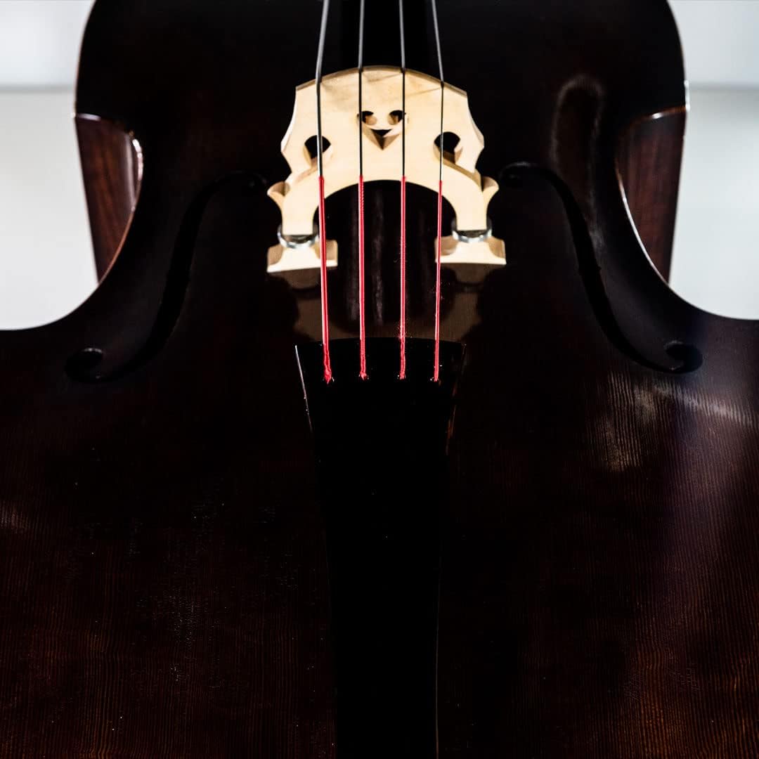 Thomastik-Infeld Contra Bass Strings (S38850.SET34)