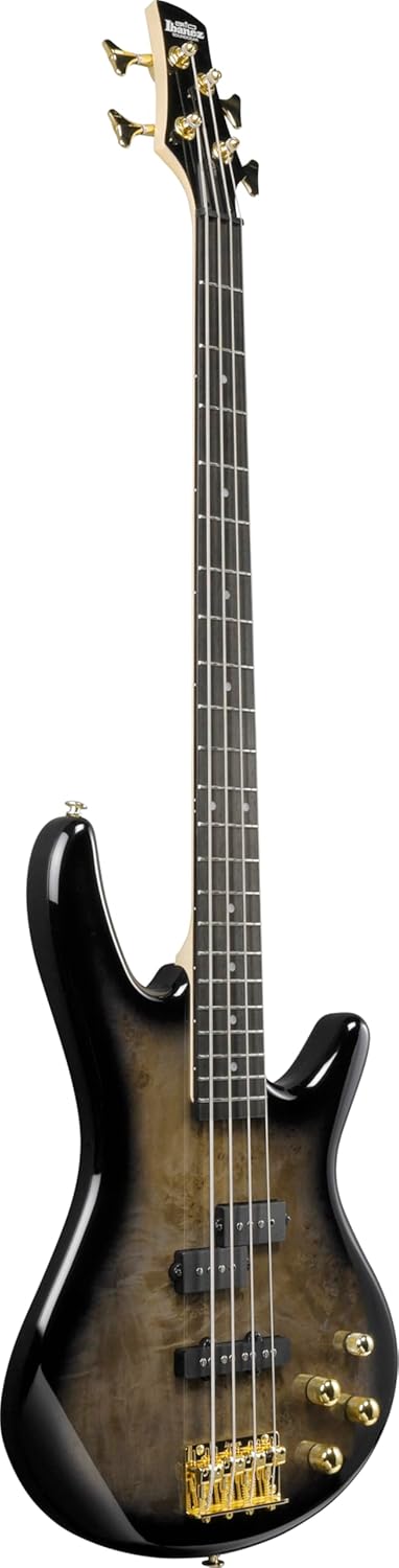 Ibanez Gio GSR200PC 4-String Right-Handed Electric Bass Guitar with Okoume Body, Maple Neck, and Purpleheart Fretboard (Transparent Pale Black Burst)