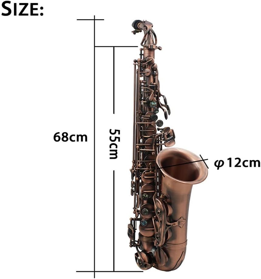 Professional EB Alto Saxophone Brass E Flat Sax Musical Woodwind Instrument with Accessories