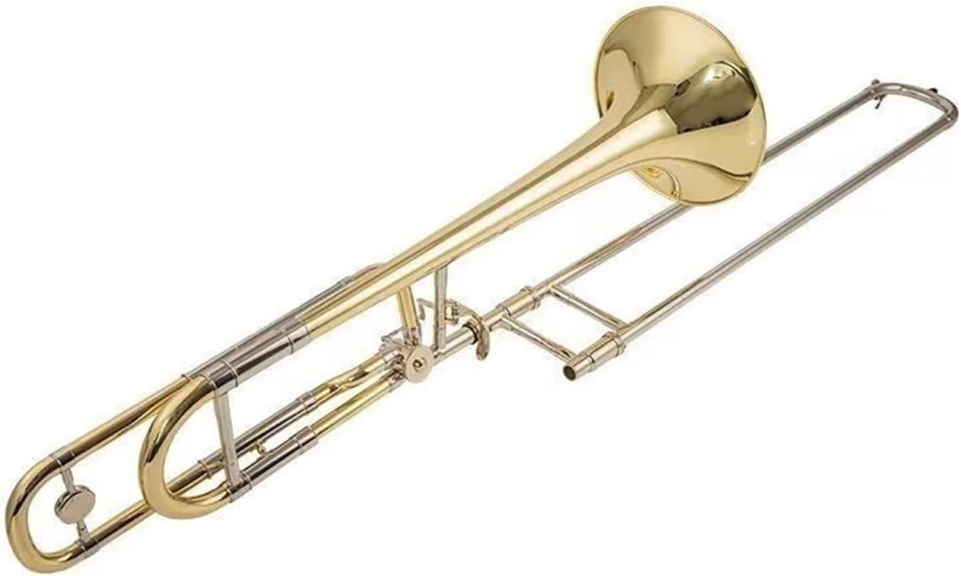 Adult Trombone Instrument Beginner Instrument Transposition Trombone Professional Playing B F