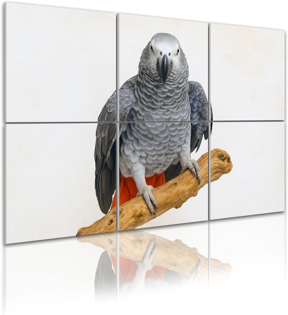 6 Pack Art Acoustic Panels Self Adhesive colorful parrot branch white african grey parrot Decorative Soundproof Wall Panels Sound Absorbing Panel 48