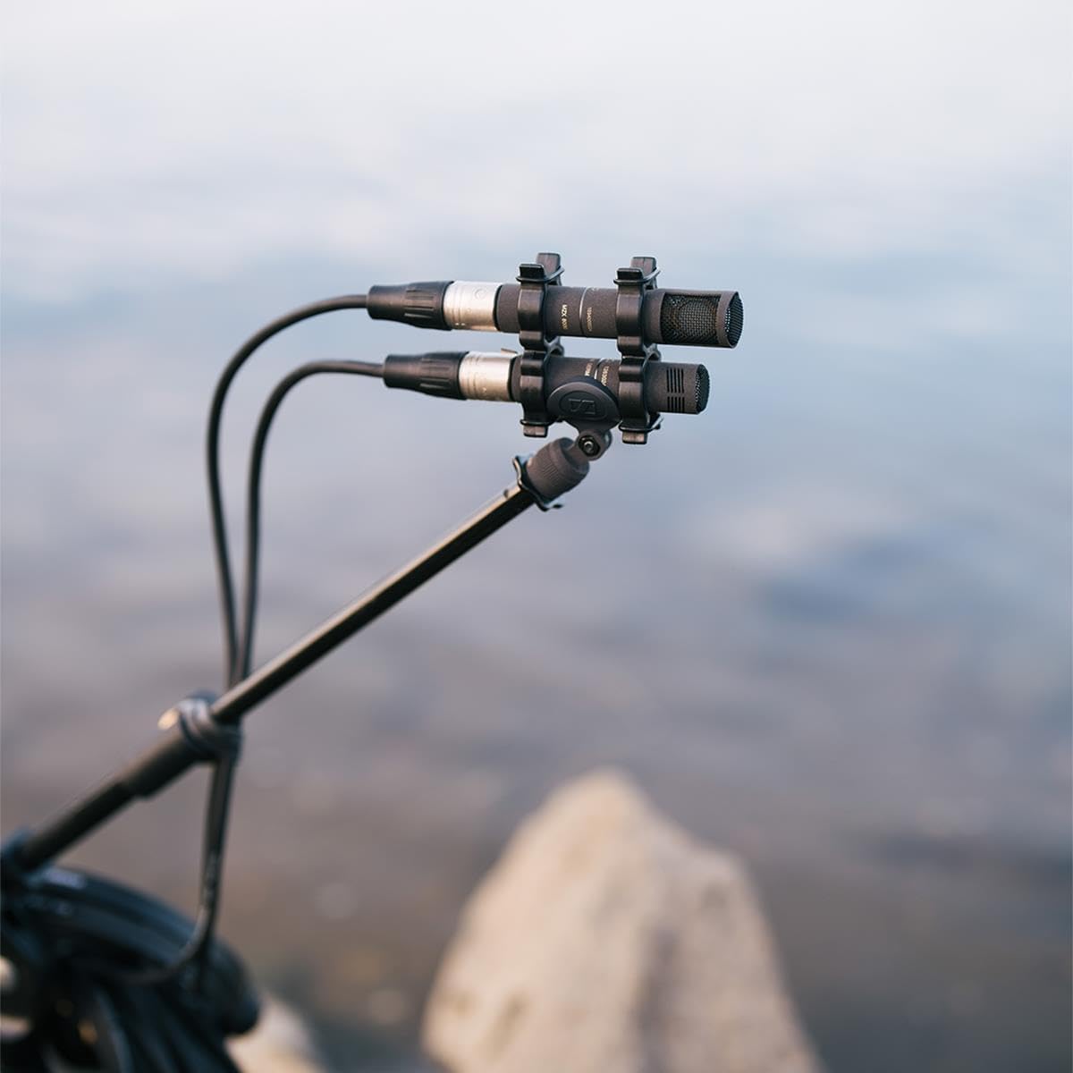 Sennheiser Pro Audio MKH 8030 Figure-8 RF Condenser Microphone