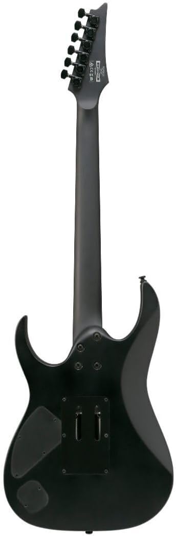 Ibanez RGRB620 Iron Label 6-String Right-Handed Electric Guitar with Nyatoh Body, Maple and Walnut Neck, and Ebony Fingerboard (Black Flat)