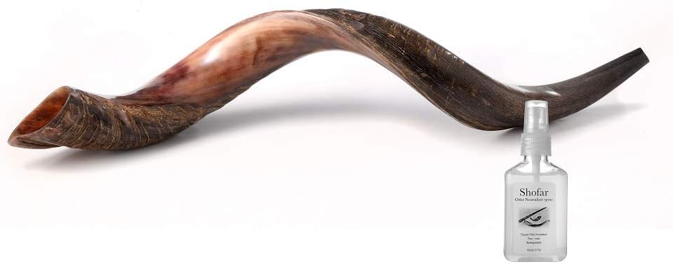 Yaliland Kosher Kudu Shofar Horn Set - Authentic & Revered Ceremonial Instrument (36-38