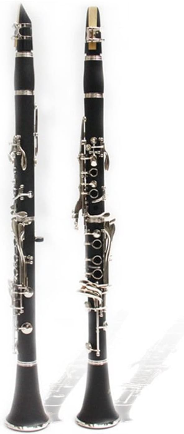 Professional Clarinet Clarinet Student Beginner Band Playing B-Flat Clarinet Woodwind Clarinet Kit