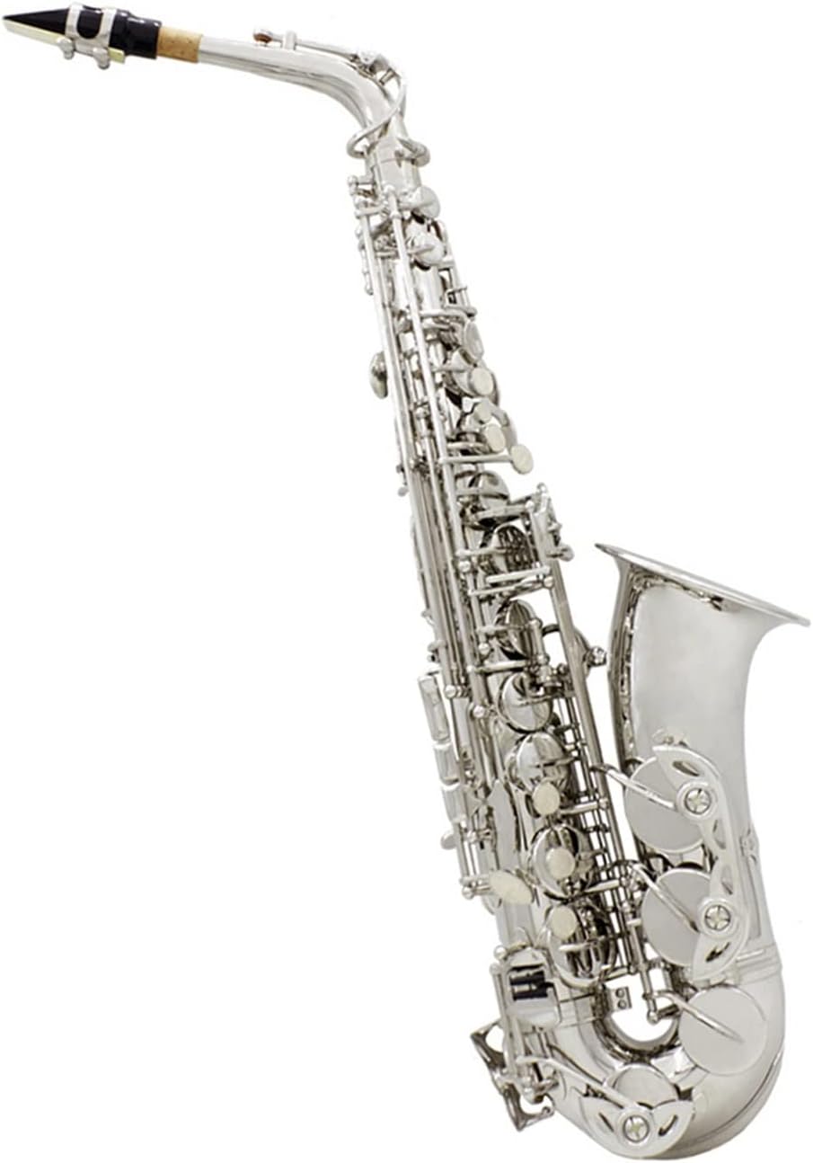 EB Alto Saxophone Lacquered Gold E-Flat Brass Carved Pattern Woodwind Instrument with Case (Color : Silver Sax)