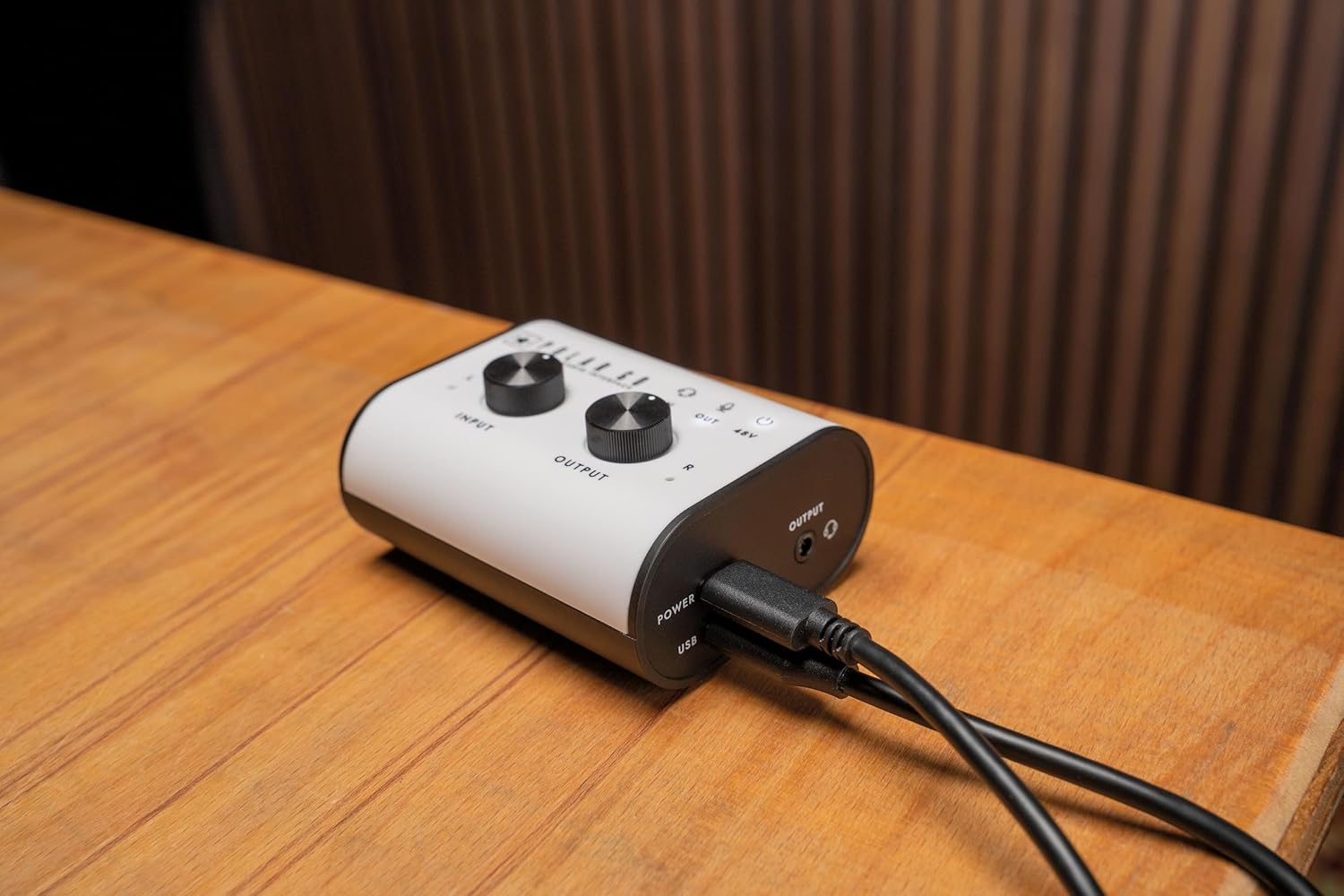 Blackstar Polar Go Mobile Audio Interface with ProCapture Stereo Mics, XLR/Instrument Input, and 6-Hour Battery Life