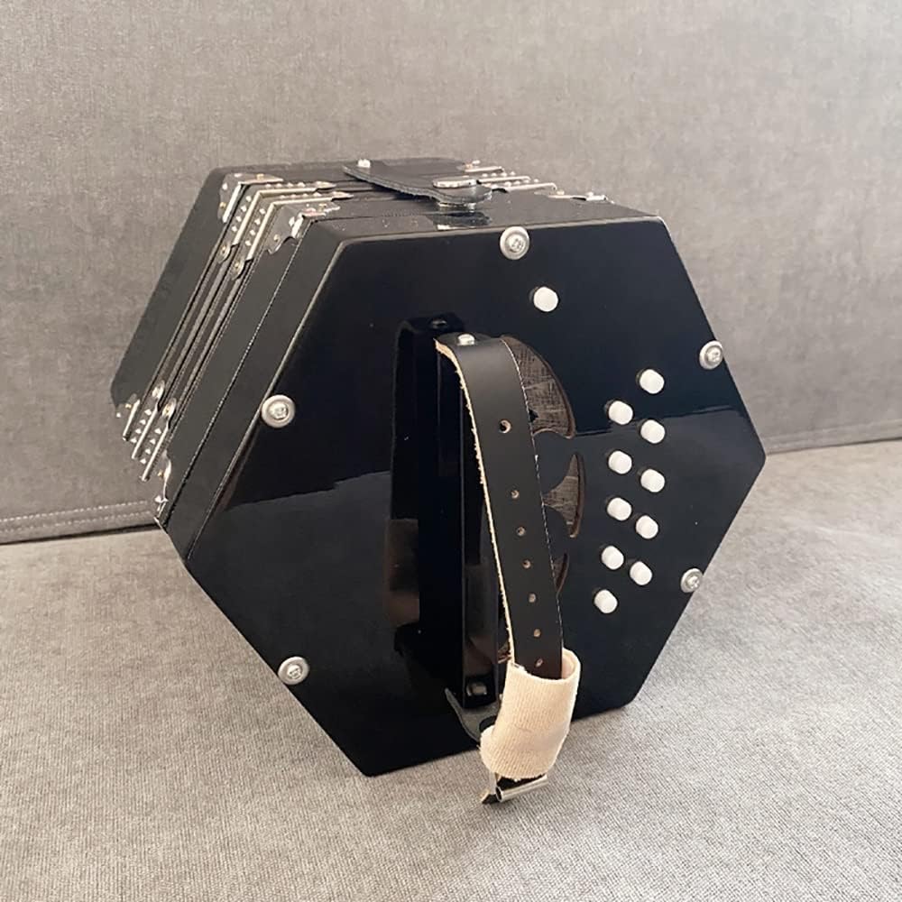Concertina Accordion 20-Button, for Adults Musical Instrument, Easy to Learn Music Accordion Instrument