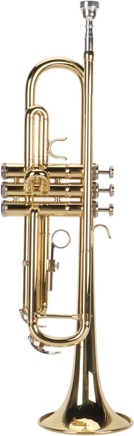 Plated Bb Trumpet Set with Mouthpiece for Student Beginner, Brass Wind Instrument for Musicians (Gold)