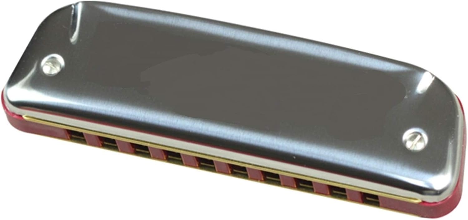 Harmonica Diatonic Harmonica 10 Hole Blues Harp Mouth Organ Instrumento ABS Comb Key C Musical Instrument (Color : Silver Key B)