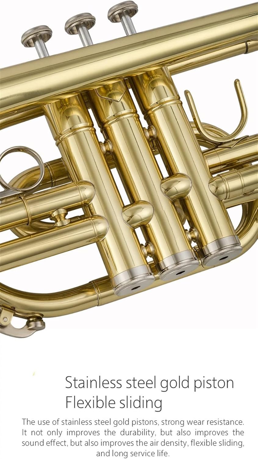 Trumpets Beginner Trumpet Cornet Musical Instrument Professional Brass Tube Body B Flat Lacquered Gold Cornet Comes with an Outer Box Set Trumpet Set