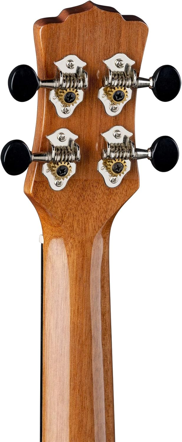 Luna Vista Bear Concert Acoustic/Electric Ukulele