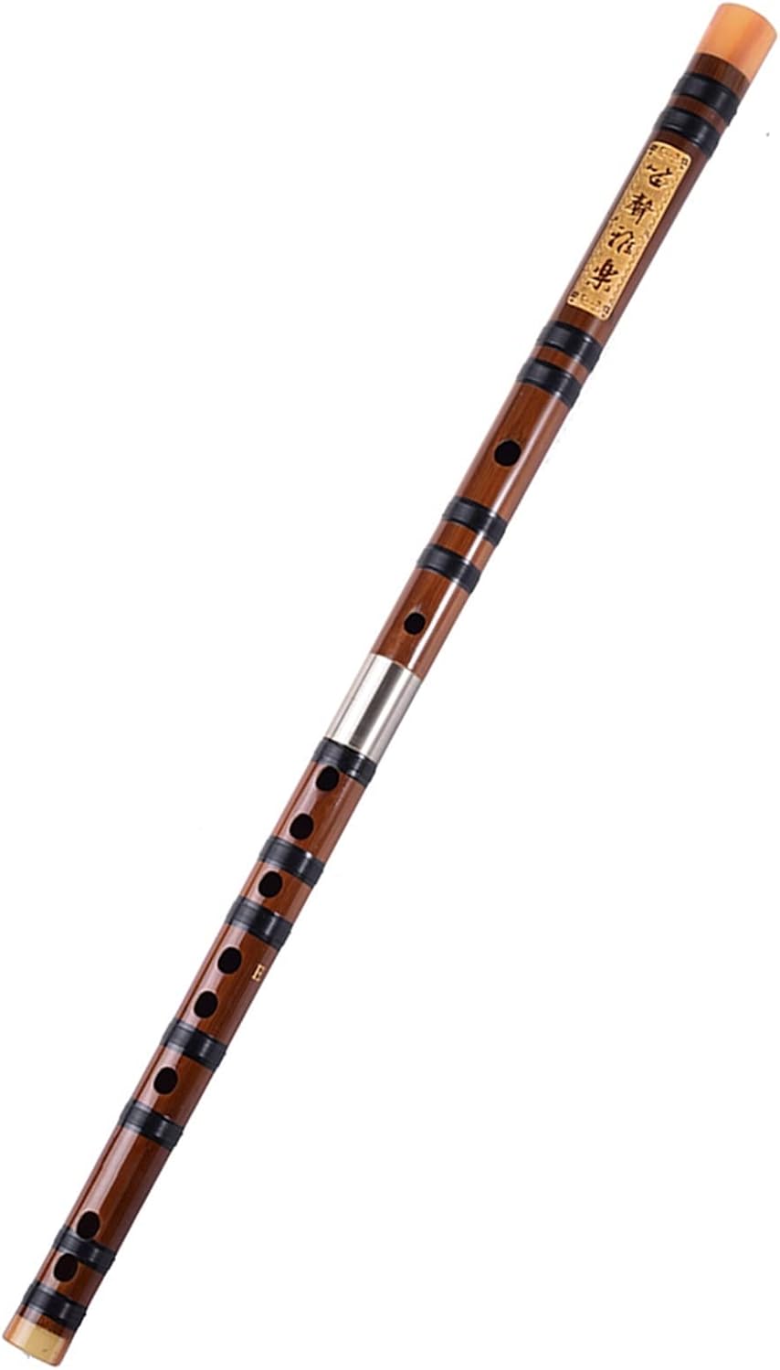 TSTS Chinese Bamboo Flute Traditional Chinese Bamboo Flute Dizi Professional Wind Musical Instruments Transverse Flute E Key with Case
