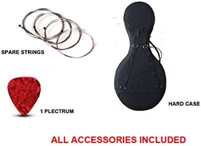 OrientalMusicSanctuary Performer's Hardwood Zhongruan - Chinese Ruan Lute