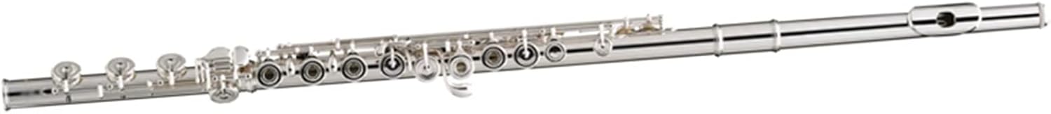 TSTS Flutes Musical Instrument Beginners Flute Instrument Silver/Gold Plating 17 Holes C Flutes Key Woodwind Instrument Padded Accessories (Color : 02)