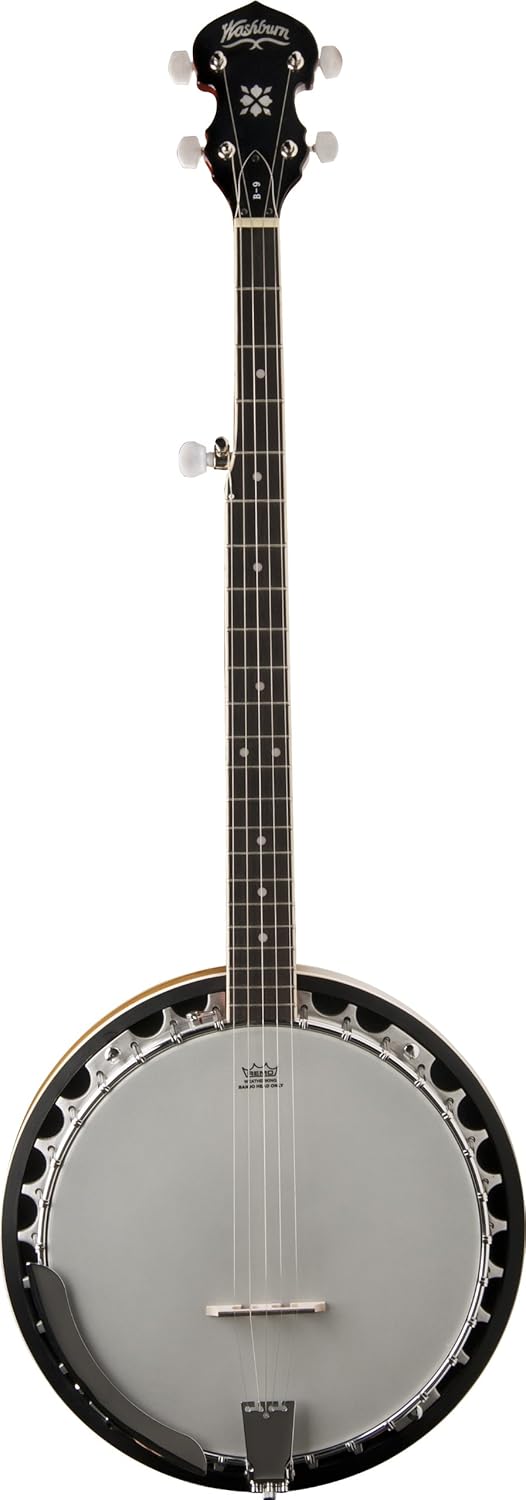 Washburn Banjo, 5 String