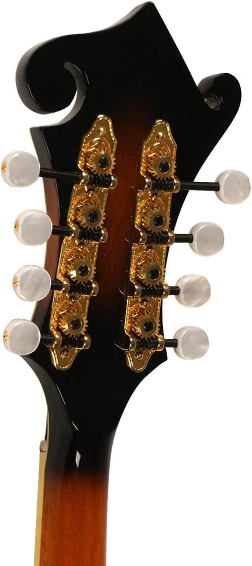 Gold Tone GM-70 F-Style Mandolin (Two Tone Tobacco)