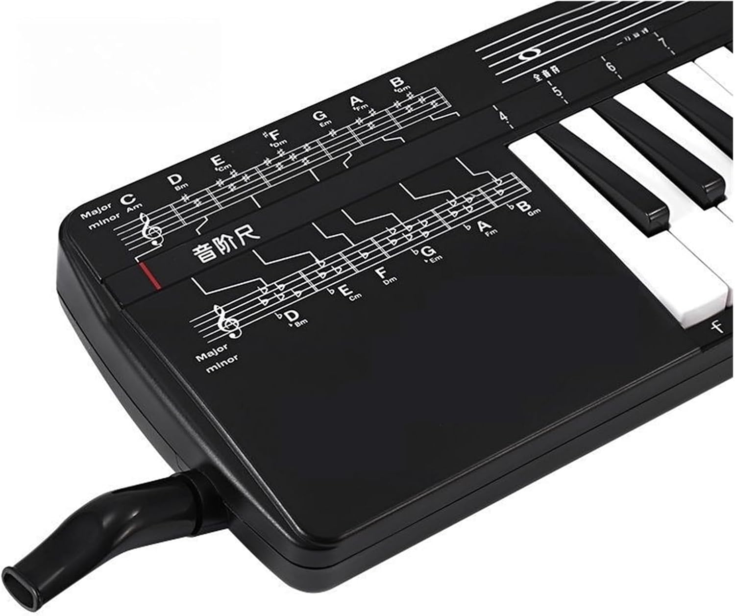 Melodica 37 Key Melodica Children Beginner Portable 32 Keys Adults Button Keyboard Musical Instruments(37 key Black)