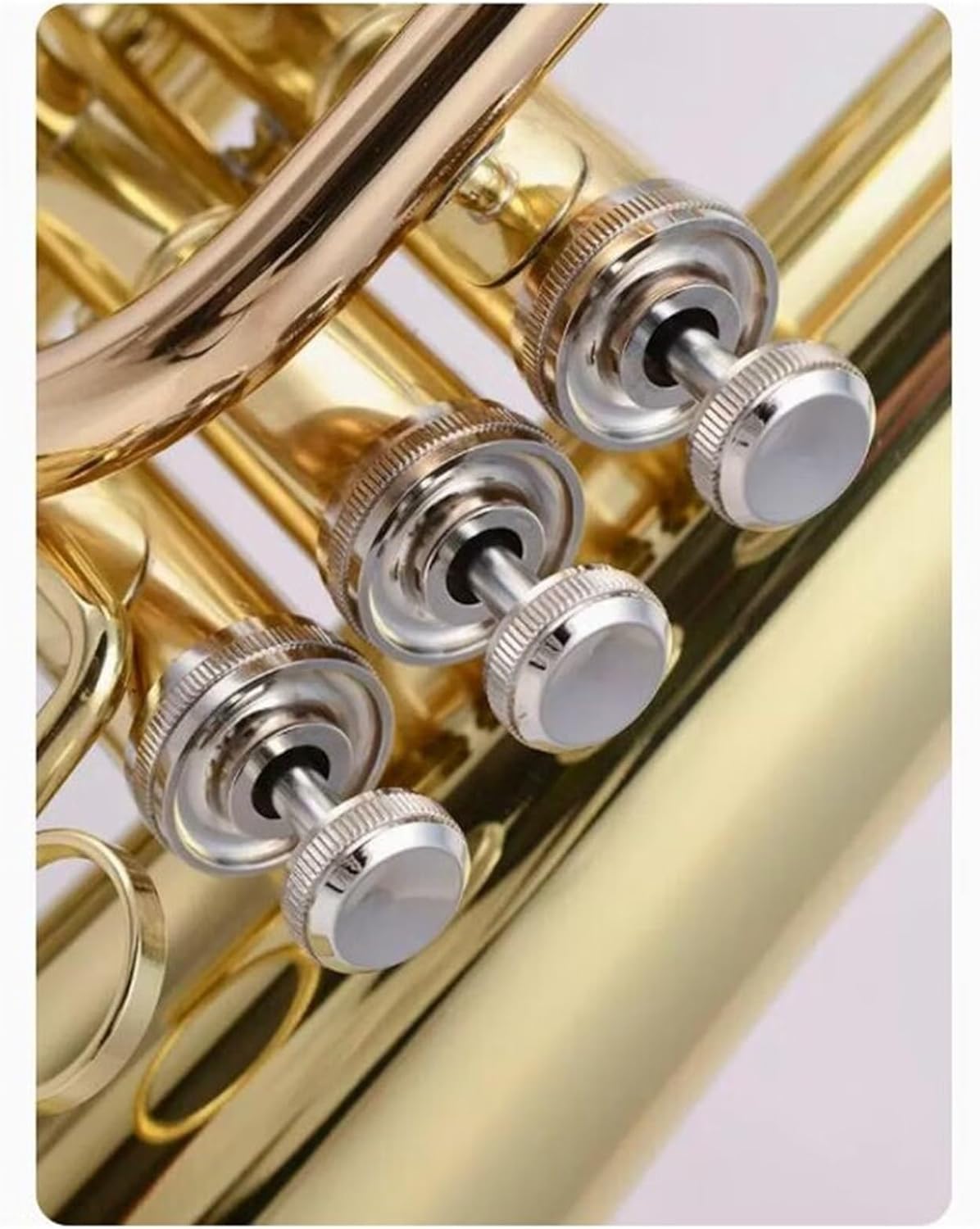 Beginner euphonium Euphonium Marching Euphonium Instrument Wind Band