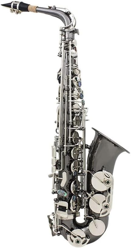 TSTS EB Alto Saxophone Woodwind Instrument Black Nickel with Case Brass Sax Full Kit (Color : 1)