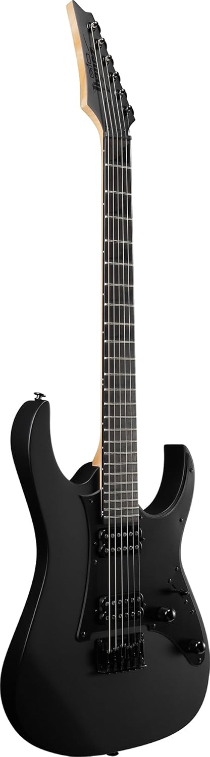 Ibanez GRGR131EX RG Gio Electric Guitar - Black Flat Bundle with Gig Bag, Tuner, Strap, Cable, Austin Bazaar Instructional DVD, and Polishing Cloth