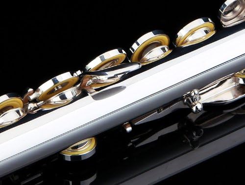 Glory Silver Plated Intermediate 16 Keys Open/Closed Hole C Flute