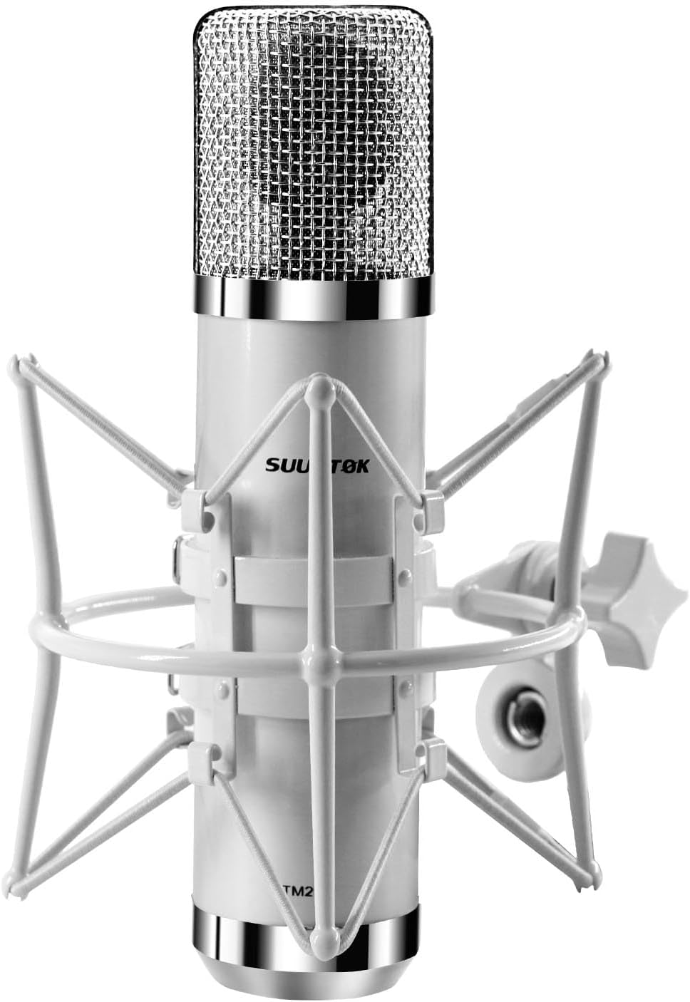 FET Condenser Microphone Professional XLR Studio Microphone with 34mm Large Diaphragm, Cardioid Recording Mic Computer Gaming PC TM251S Mic Kit for Singing, Podcasting, YouTube (Gray)