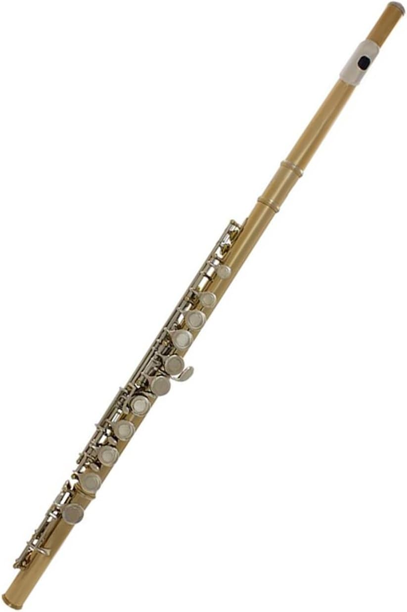Professional Flute Instrument 16 Closed Hole Flute C Playing Professional Woodwind Instrument With E Key Adult Practice(Gold Silver)