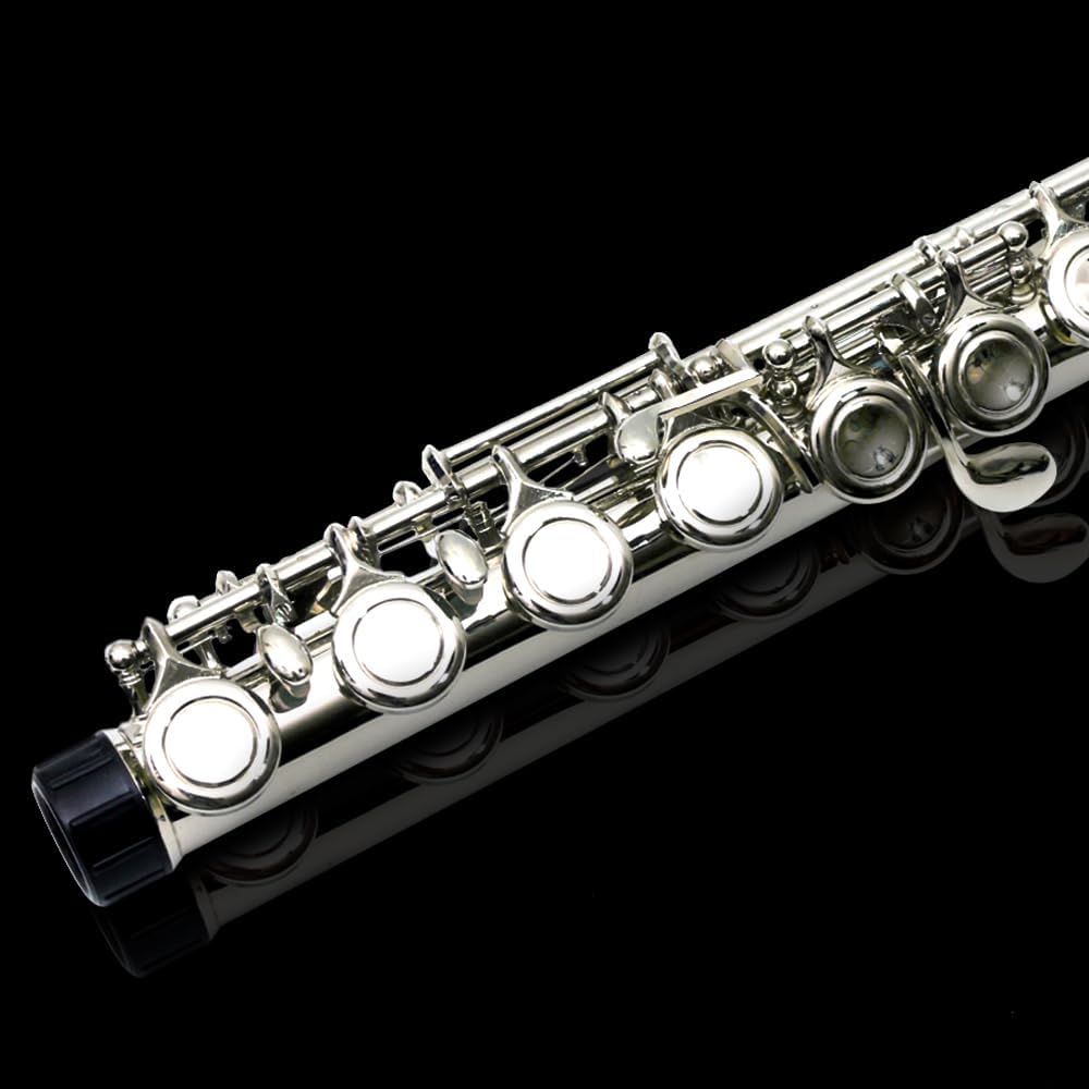 16 Key Closed Hole C Flute - Student Flute for Beginners,Easy to Play with Durable Design, Includes Carrying Case, Cleaning Kit, Gloves, Perfect for Learning(Silver)
