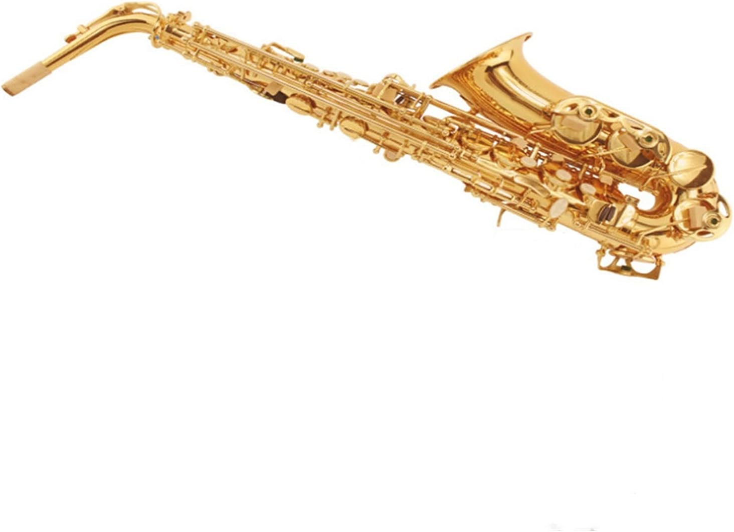 Saxophone Straight Beginner E Flat Alto Saxophone/Wind Instrument