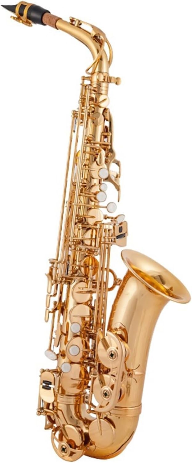 Saxophone for Beginners E-Flat Alto Saxophone Instrument Beginner Adult Grade Test Performance Woodwind Instrument