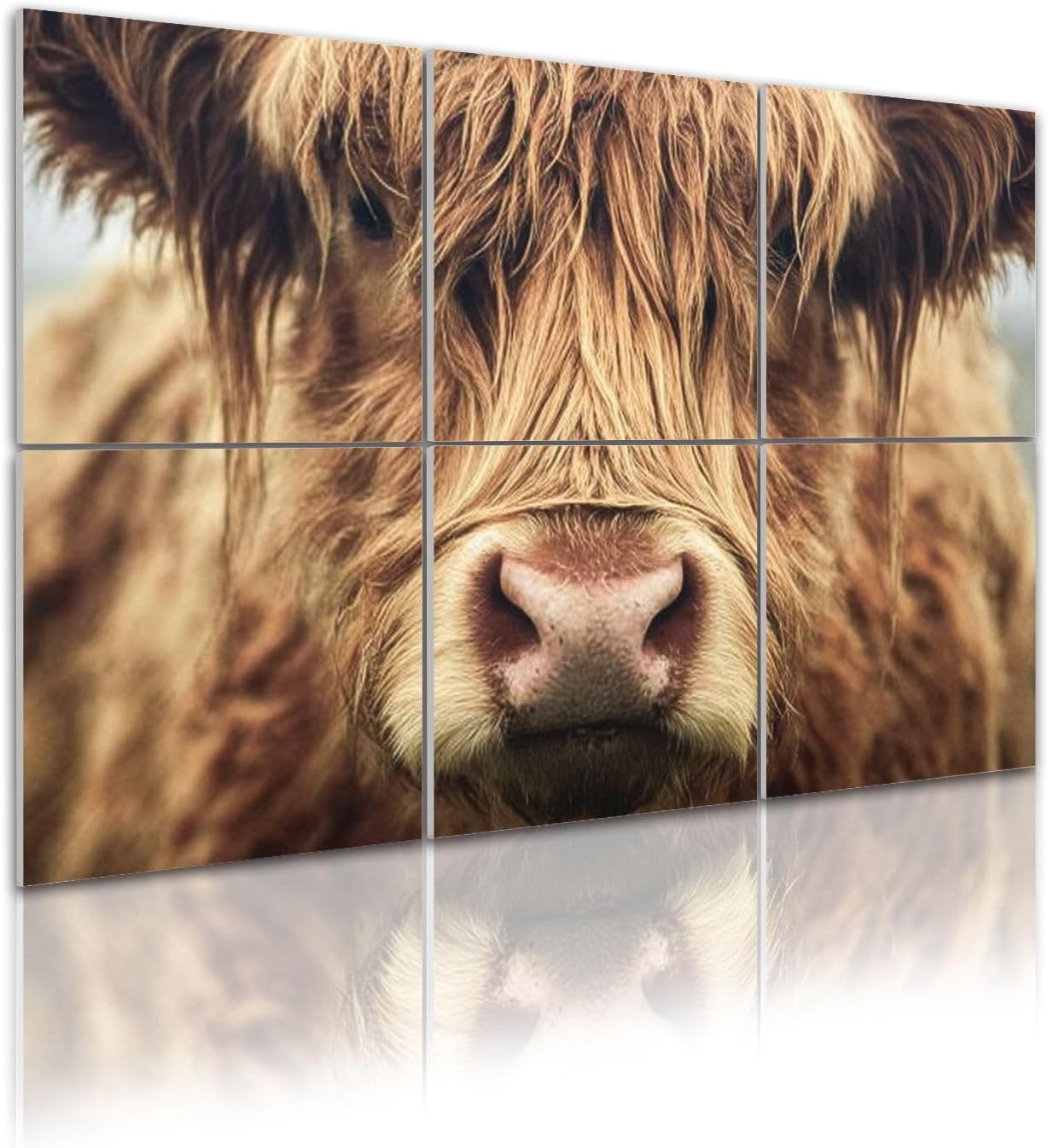6 Pack Art Acoustic Panels Self Adhesive Highland cattle cow Decorative Soundproof Wall Panels Sound Absorbing Panel 48