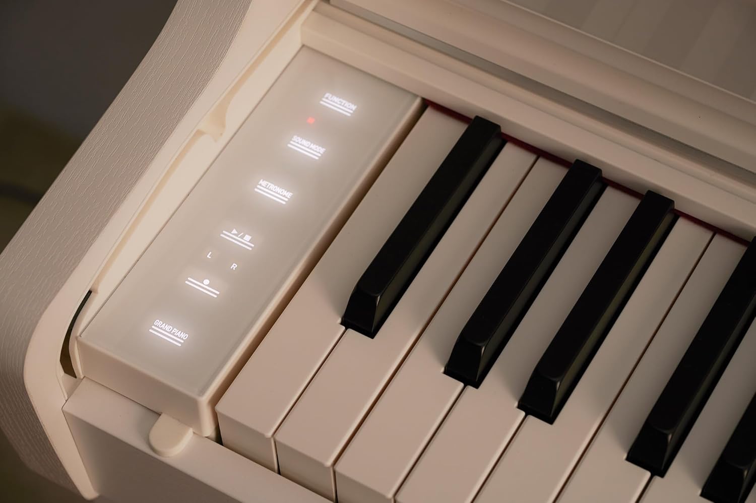 Casio AP-550 CELVIANO 88-Key Digital Piano - White Bundle with Adjustable Bench, Headphones, Piano Book, Online Lessons, Austin Bazaar Instructional DVD, and Polishing Cloth