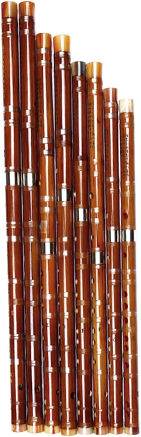 Chinese Bamboo Flute Professional Woodwind Instruments Natural Color Flutes (Color : D)