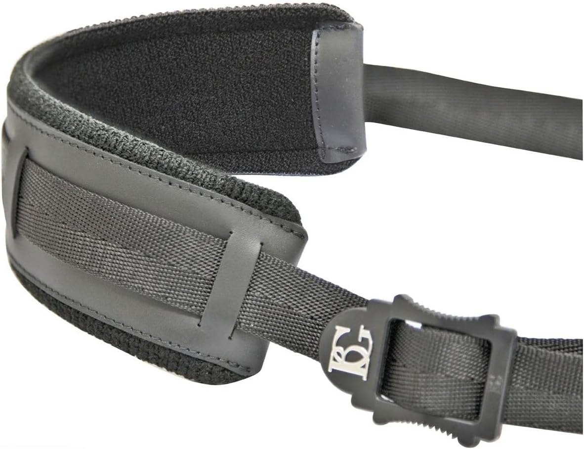 BG(0002698761) Alto Horn, (S40CMSH)