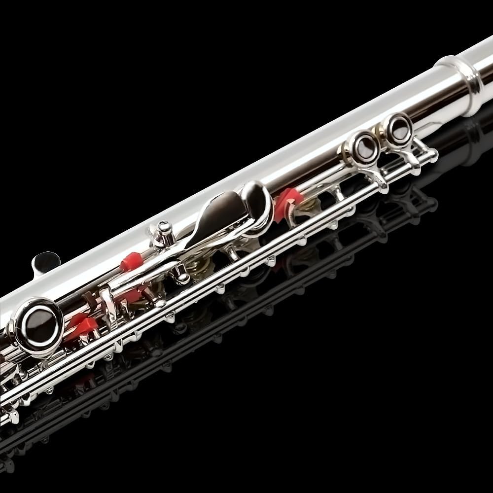 16 Key Closed Hole C Flute - Student Flute for Beginners,Easy to Play with Durable Design, Includes Carrying Case, Cleaning Kit, Gloves, Perfect for Learning(Silver)