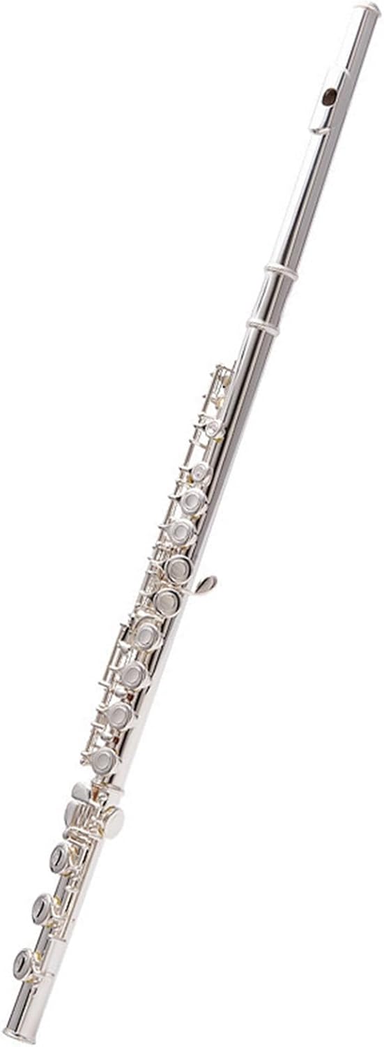 Flute 17 Open-Hole Closed-Hole Flute Wind Instruments White Copper E Key C Call E Key Silver-Plated Beginners Flutes Musical Instruments (Color : Silver-Plated 17 Holes)