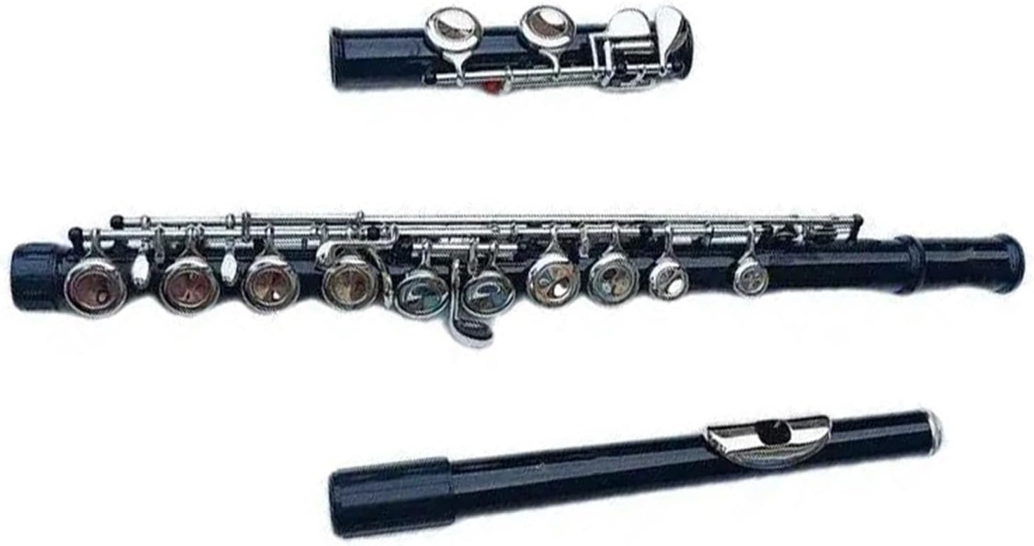 Flute Set Black 16 Closed Hole Flute Woodwind Instrument Plus E Key C Tone Nickel-Plated Keys