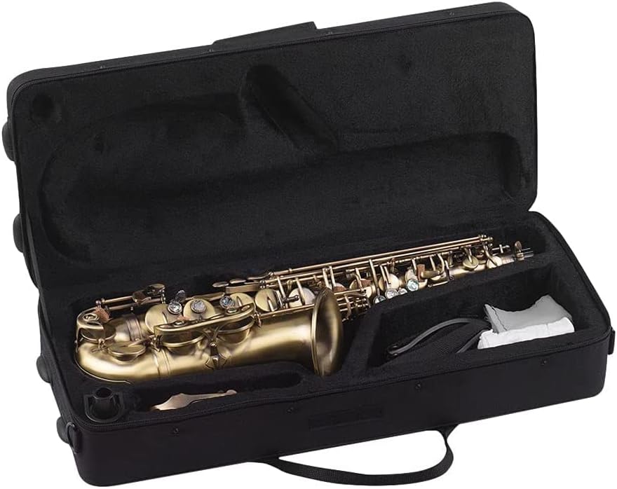 High Grade Antique Finish EB E-Flat Alto Saxophone Sax Shell Key Carve Pattern Woodwind Instrument with Padded Carry