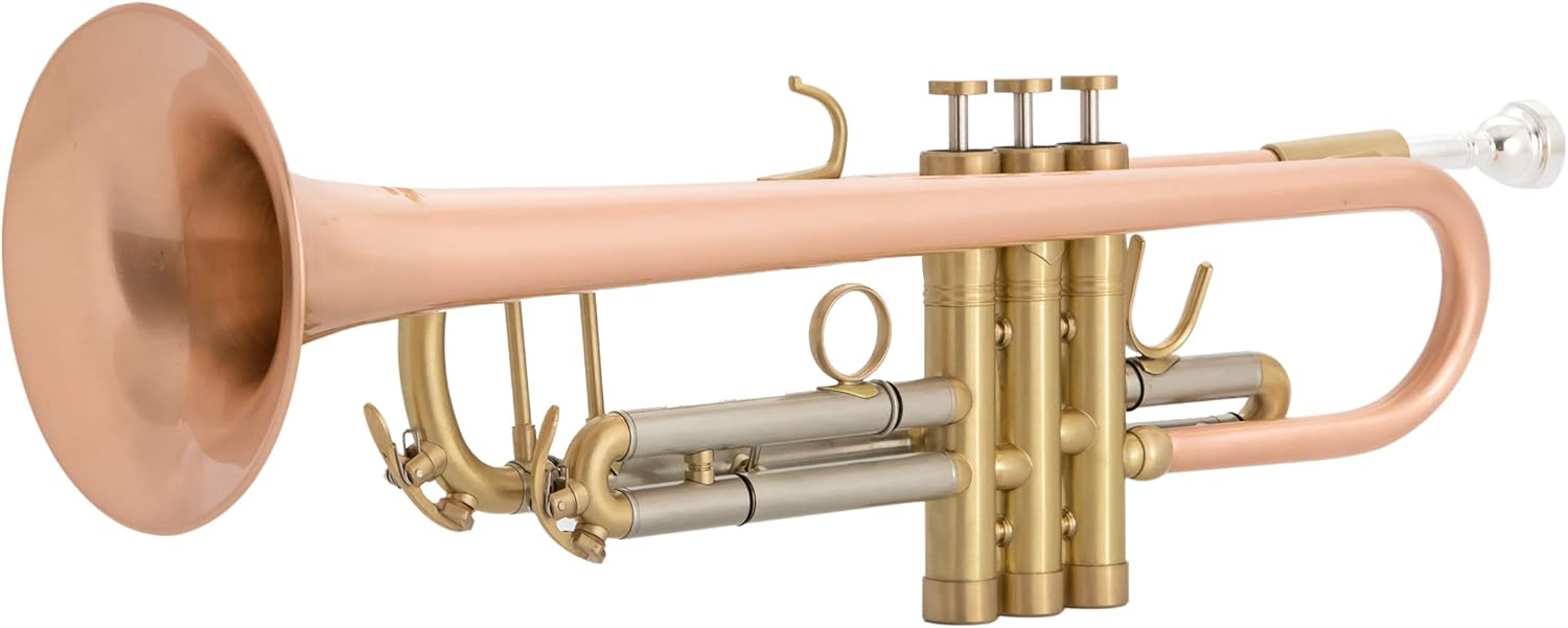 Singer's day SDTR-2019HD Heavy Duty Rose Brass Trumpet with Brushed Finish