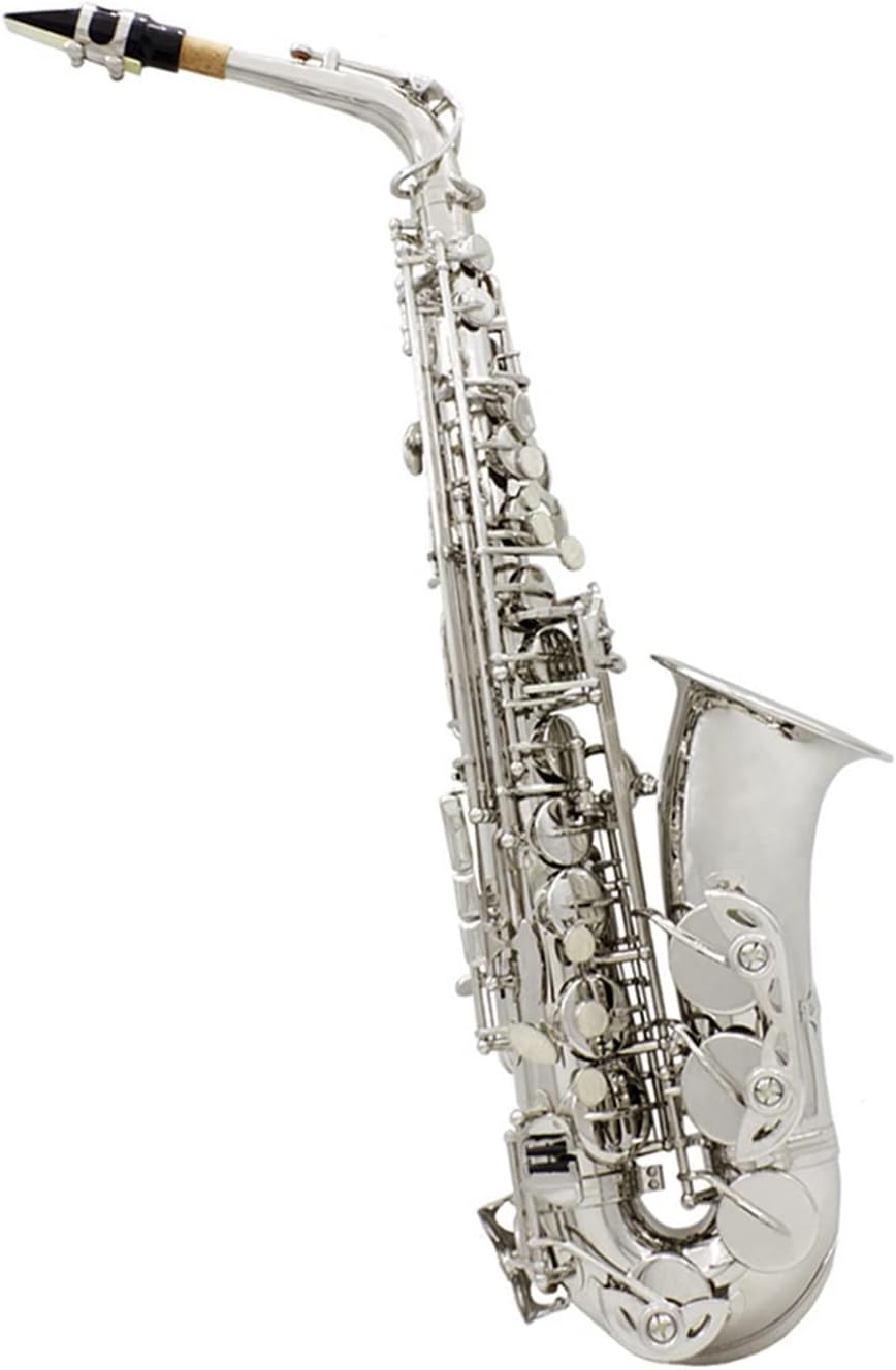 Alto Saxophone EB Tune Gold Lacquer Silver Lacquer Brass Body Woodwind Instrument Beginner Saxophone (Color : Silver Sax)
